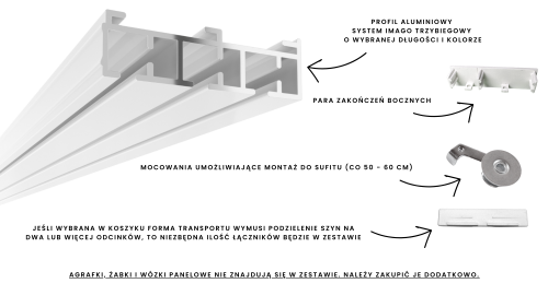 ZZ Imago SLIDE 3.png