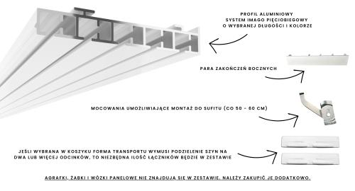 ZZ Imago SLIDE 5.png