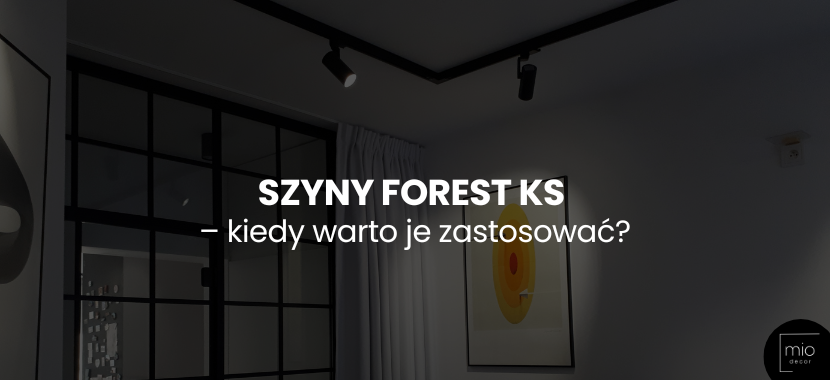 Szyny Forest KS – kiedy warto je zastosować?